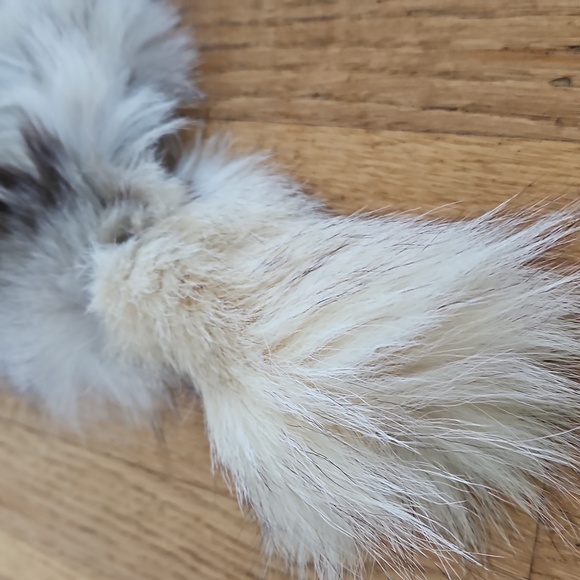 Vintage Fox Fur Scarf Collar OS - Picture 5 of 10